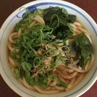 魚粉入り☆ネギたっぷりワカメうどん！